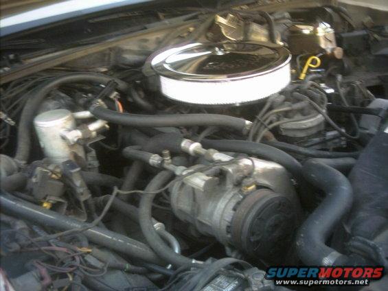 Engine bay with air cleaner, AC compressor, and various hoses