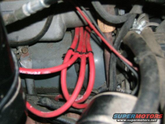 Engine bay showing red spark plug wires bundled together