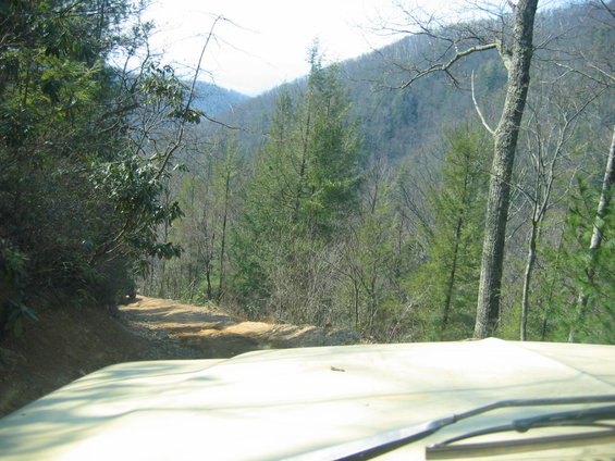 View from inside a vehicle looking out at a dirt road in a forest