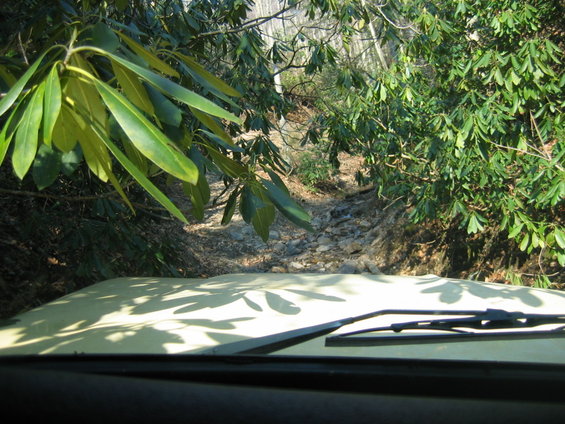 Vehicle hood and windshield wipers casting shadows on a sunny day, driving on a rocky, wooded path