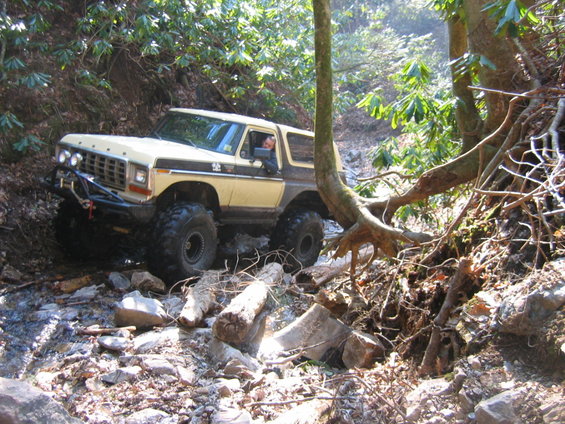 Ford Bronco driving over rocks and logs on a wooded trail
