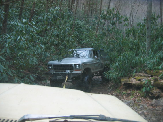Silver Ford F-Series truck stuck in trees on a dirt path. Another vehicle's hood is in the foreground