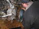 1978 Ford Bronco - A person works on a suspended engine and transmission assembly, likely during a swap or repair.