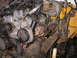 1978 Ford Bronco - Close-up view of an engine bay, focusing on the V-belt pulleys and brake fluid reservoir, with extensive wiring visible.