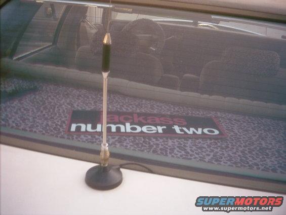 aaaa0014.jpg 