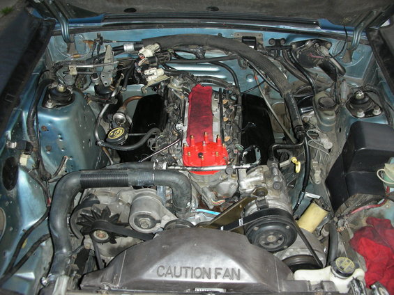 Engine bay with a red distributor cap and black intake manifold. "CAUTION FAN" is visible on a shroud