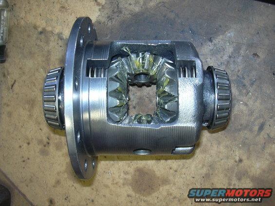 Differential with gears and bearings