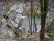 1999 Honda RANCHER - A view of a rocky river flowing through a wooded area.