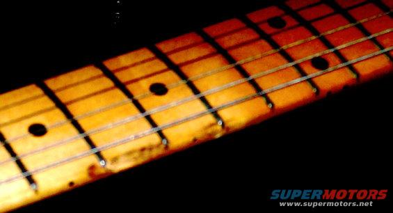 100_0897.jpg 