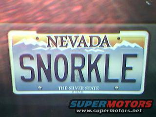 snorkleplate.jpg