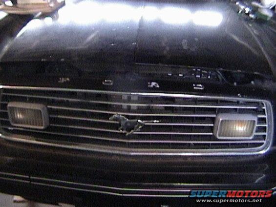 Front grille of a 1977 Ford Mustang with a running horse emblem