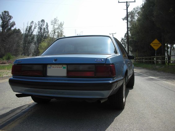 Blue Ford Mustang parked on a road, rear view. California license plate visible