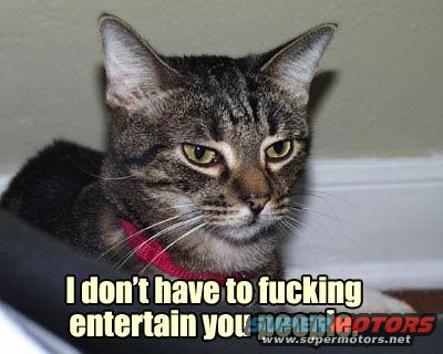 1162399701entertain.jpg