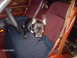 1979 Ford Ranchero - A French Bulldog sits on a blanket in the interior of a car.