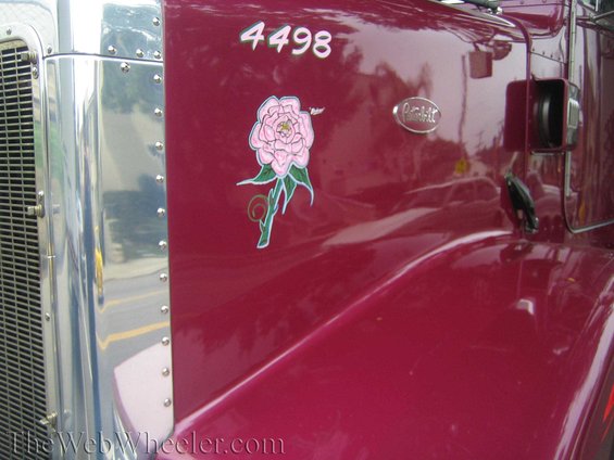 Maroon Peterbilt truck fender with chrome trim, a pink rose decal, and the number 4498. Peterbilt emblem visible