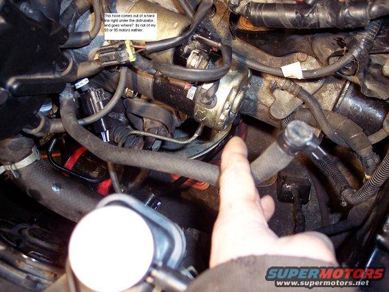 Engine bay with hand pointing to hose near distributor. Text states it is not from a 90 or 95 motor