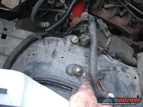 Close-up of engine bay wiring and hoses. A dirty hand points to a bolt