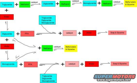biodiesel-reaction-web.jpg This is all the competing reactions that could be occurring inside the biodiesel processor.