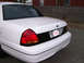 1999 Ford Crown Victoria - The rear of a white Ford Crown Victoria is shown, a black accent panel and a license plate.