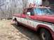 1979 Ford Bronco photo