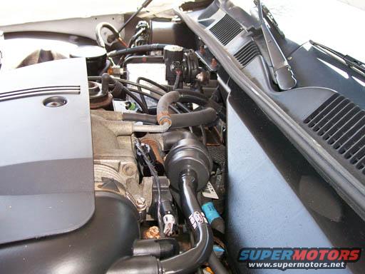 Engine bay of a 1999 Ford Crown Victoria, showing hoses, wiring, and engine components