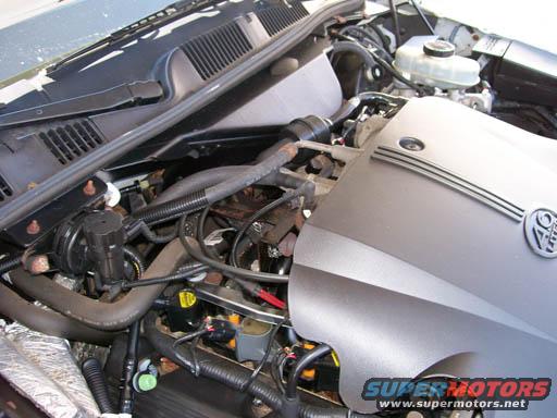 1999 Ford Crown Victoria engine bay with V8 badge