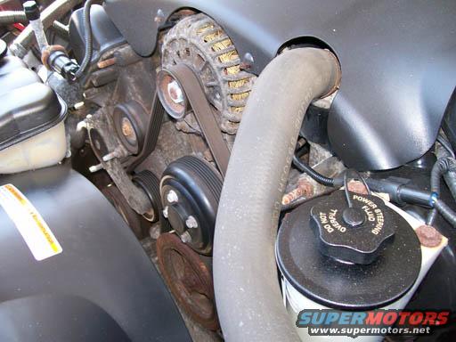Engine bay with power steering fluid reservoir, hoses, belts, and pulleys visible
