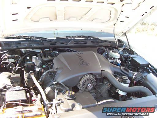 Engine bay of a 1998 Ford Crown Victoria, showing the V8 engine, air intake, and battery