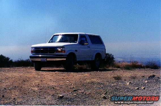 stocker013.jpg First day I got her wasn't she a beaut