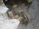 1994 Ford Bronco - Transfer case assembly with shifter linkage and U-joint yoke, appears to be a used part.