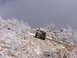 1996 Ford Bronco - SUV navigates a challenging snowy incline amidst frosted vegetation under a cloudy sky.