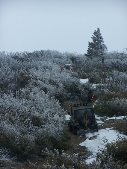 Jeep Wrangler driving on a snowy, icy trail with frosted bushes and trees