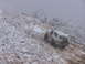 1996 Ford Bronco - A white SUV navigates a challenging, snow-covered mountain trail amidst frosted vegetation and fog.