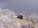1996 Ford Bronco - A white SUV navigates a challenging, icy incline surrounded by winter-kissed vegetation.