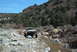 1986 Ford Bronco - A white pickup truck navigates a rocky, dry streambed in a mountainous, arid landscape.