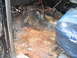 1979 Ford Bronco - The interior floor of a vehicle shows significant rust damage and is covered in debris.