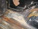 1979 Ford Bronco - The interior cargo area shows significant rust and dirt, with visible metal floor panels and black interior trim.