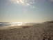 2001 Mazda B3000 - A wide view of a sandy beach with the ocean on the left and a treeline on the right.