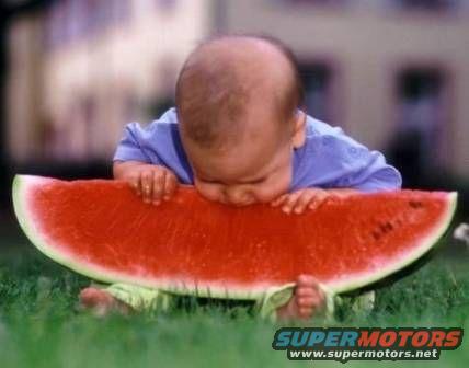 Baby eating a large slice of watermelon on grass