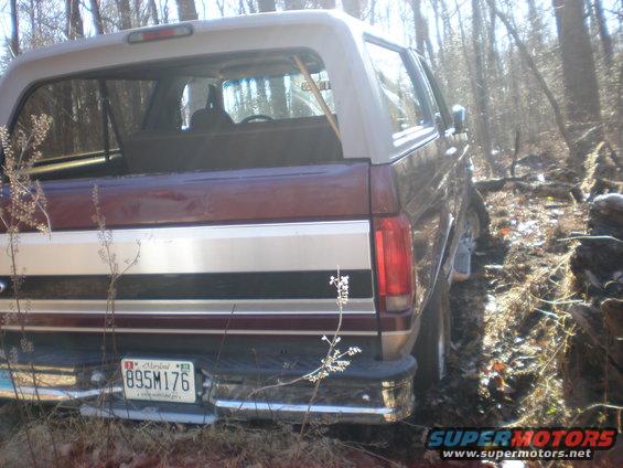 Rear view of a maroon and tan Ford Bronco parked on a wooded trail