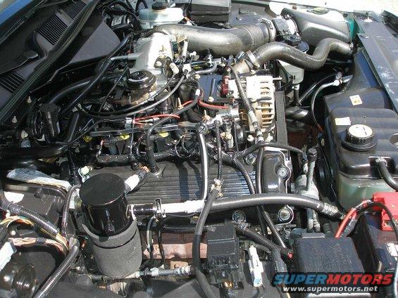 2001 Ford Crown Victoria engine bay with black hoses and silver components