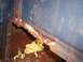 1975 Ford Ranchero - Rotted Bed 2