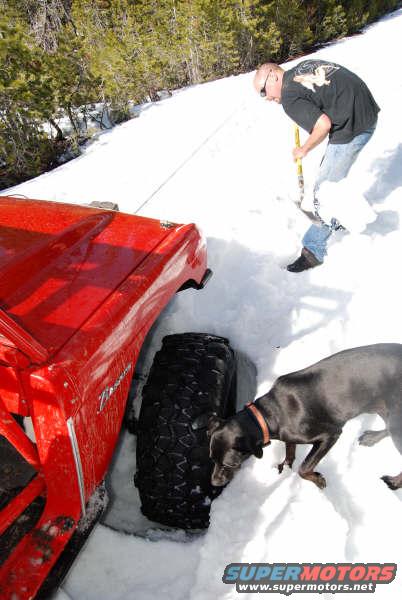 Red 1989 Ford Bronco stuck in snow, driver digging out, dog nearby
