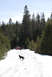 1989 Ford Bronco - A red off-road vehicle is stopped on a snow-covered path, with a dog in the foreground.