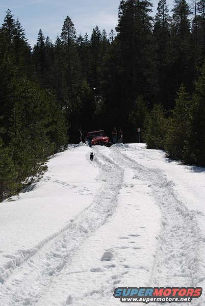 Red SUV with a black dog in front, on a snowy road