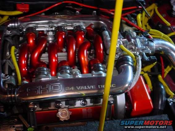 Engine bay with SHO 24 VALVE DOHC branding and red intake manifold