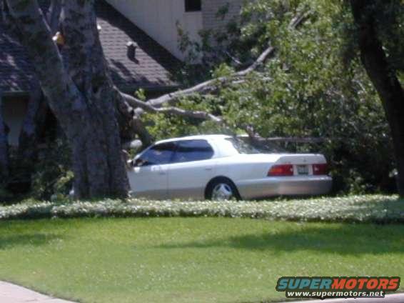 White sedan parked near a house with a fallen tree branch on it