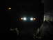 1995 Ford Thunderbird - The front of a 1995 Ford Thunderbird is visible at night with its headlights and turn signals on.
