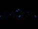1995 Ford Thunderbird - A car's instrument cluster displays blue illuminated gauges in the dark.