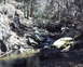 1997 Ford F-250 - A woodland scene with a shallow stream meandering through rocks and trees under a bright sky.